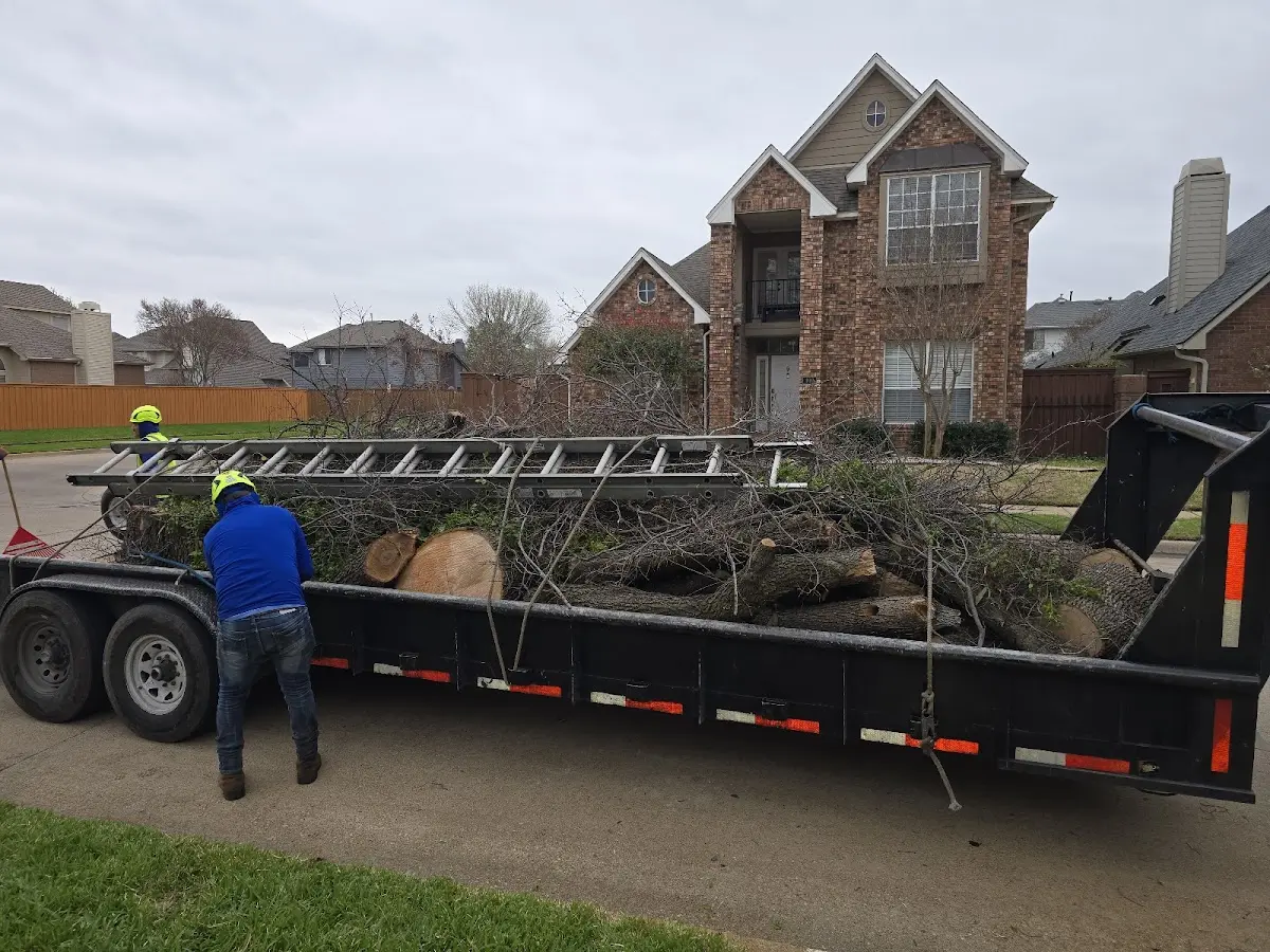 Expert Tree Removal with proper safety equipment in Elfin Cove
